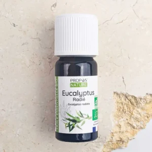 Eucalyptus radié Bio