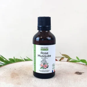 Rose musquée Bio