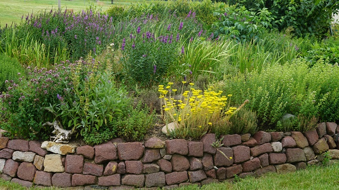 Le jardin de Pura Rosa